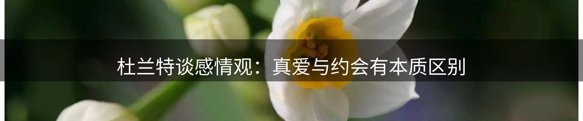 前沿动态