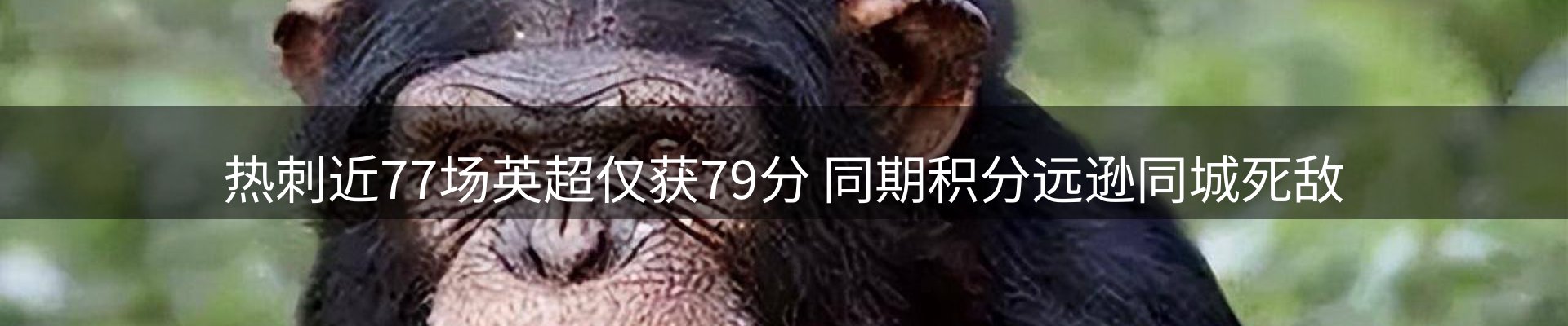 前沿动态