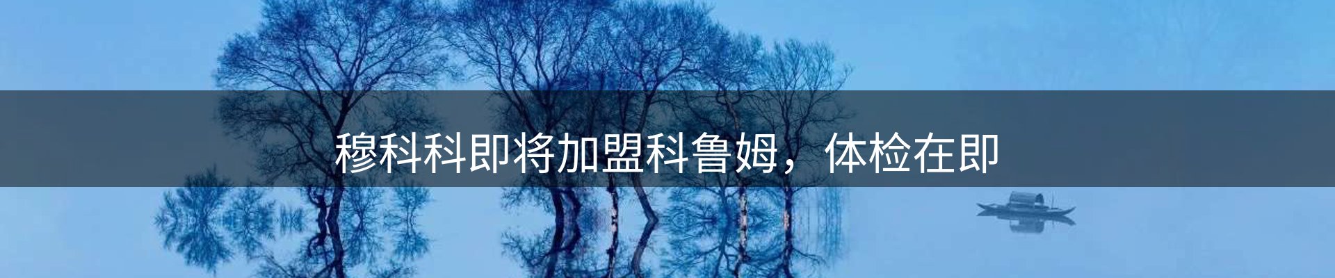 前沿动态