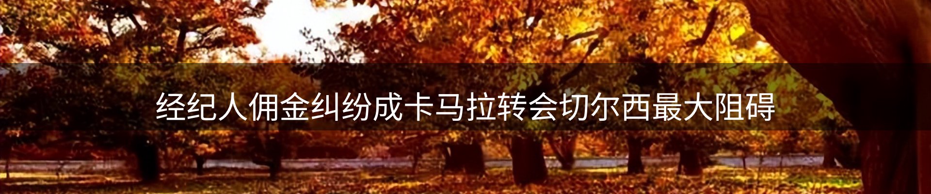 前沿动态