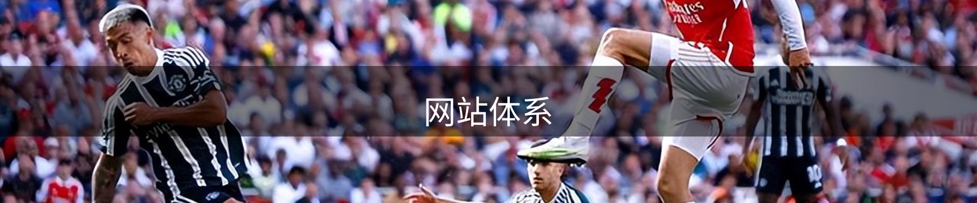 网站体系